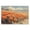 Desert Poppies Valley Panorama, variant on Stupell Industries Rustic Lodge Desert Mountains at Sunset Glow Black Framed Giclee Art, 18 x 12, by Gina Kelly