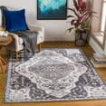 thumbnail image 2 of Cesar CEG-2319 6'7" x 9' Rug in Charcoal/Medium Gray/Ivory/Tan/Light Gray, 2 of 6