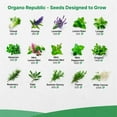 thumbnail image 3 of Organo Republic 30 Medicinal & Tea Herb Seeds Variety Pack 15,560+ Non-GMO Heirloom Garden Seeds, 3 of 7
