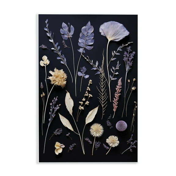 Stupell Industries Various Sprigs on Black Floral Painting Unframed Art Print Wall Art, 10 x 15