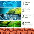 thumbnail image 3 of Anillos de biofiltración de cerámica para todo tipo de acuarios y estanques que estabilizan el pH del agua (blanco 500G + rojo 500G) JFHHH pequeña, 3 of 5