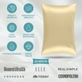 thumbnail image 5 of Bare Home 100% Mulberry Silk Envelope Pillowcase - Perfect for Hair and Skin - Premium 6A Grade, 19 Momme Silk - Queen, Champagne, 5 of 9