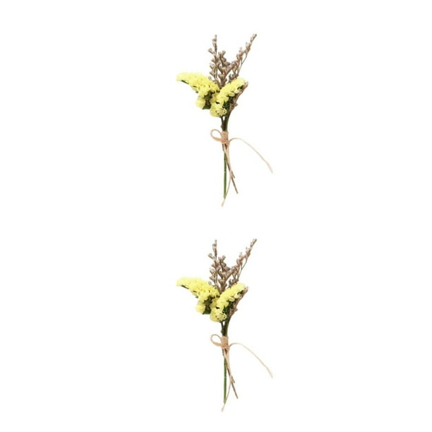 Cateissary Elegancia atemporal en arreglos de flores y hojas secas Ramo de flores secas naturales HS-09 ecológico HS-09 2Conjunto