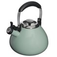 Mr Coffee Marlowe 3Quart Belly Shape Mint Green Tea Kettle