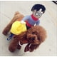 thumbnail image 4 of Ropa para montar a caballo para perros Ropa para transformar a un hombrecito Muñeco Vaquero Caballero Cabello dorado Osito de peluche Personalidad Ropa divertida para perros, 4 of 4