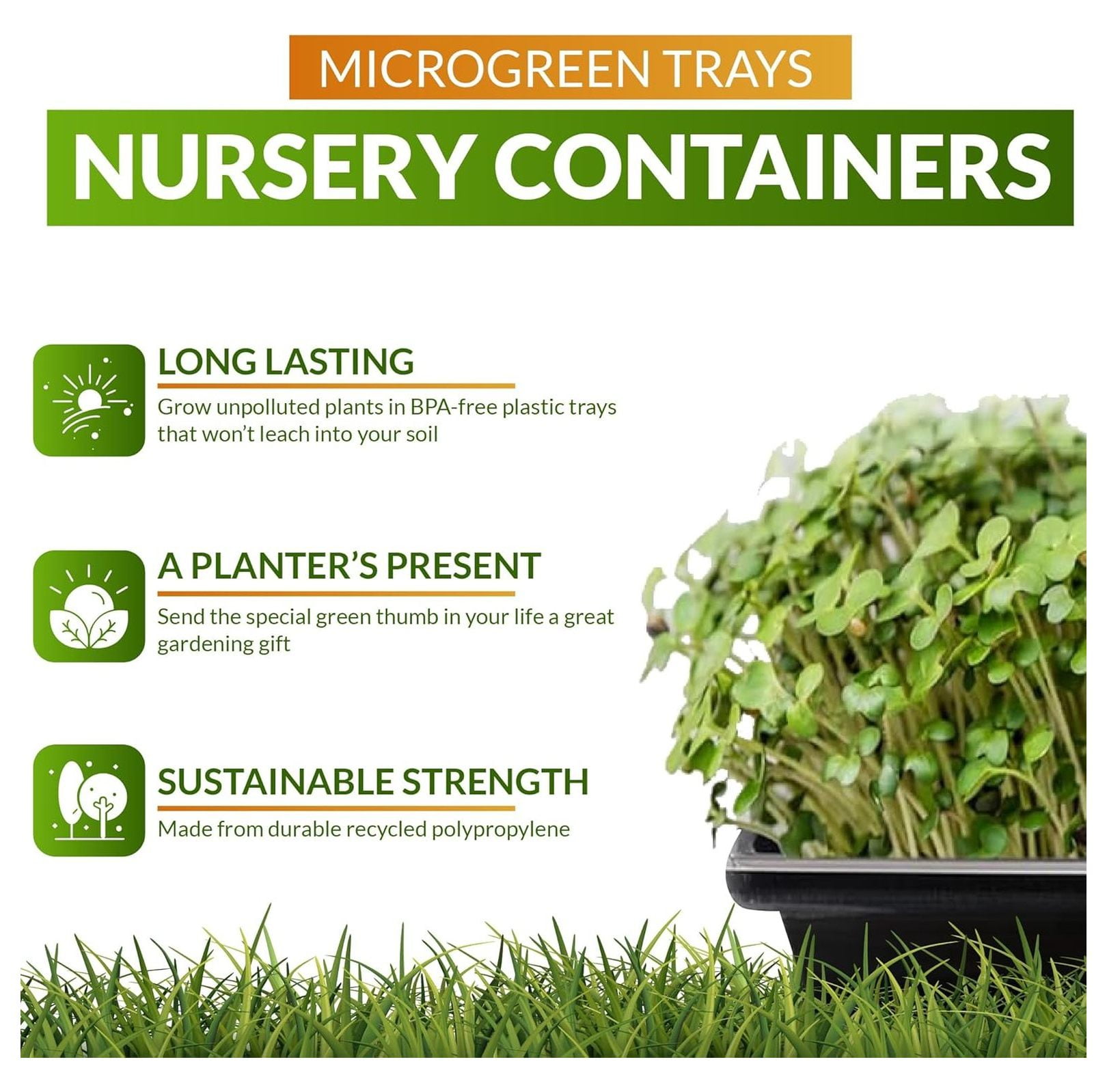 Microgreen Trays 10 Pack - 1020 Seed Starting Tray, Heavy Duty .88 Gauge, No Holes for Indoor Growing, Seedling Starter, Hydroponics