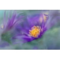 thumbnail image 2 of Hunt, Gillian 24x17 Gold Ornate Wood Framed with Double Matting Museum Art Print Titled - Gold and Purple in the Mist II, 2 of 4