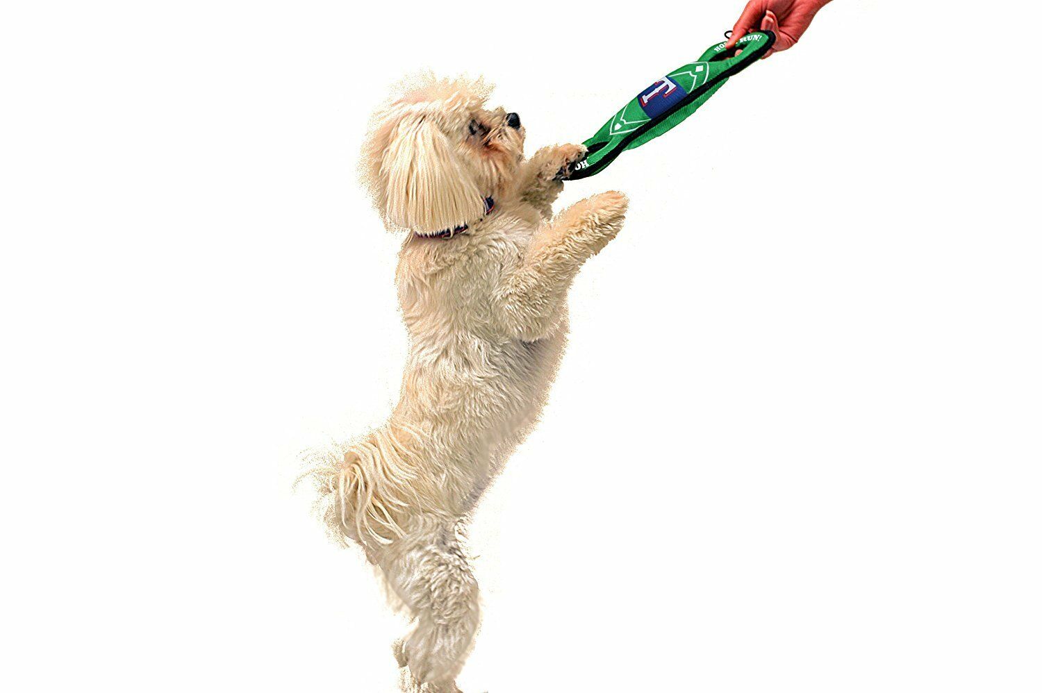 Pets First MLB Texas Rangers Dogs & Cats Durable and Heavy Duty Nylon Field Toy