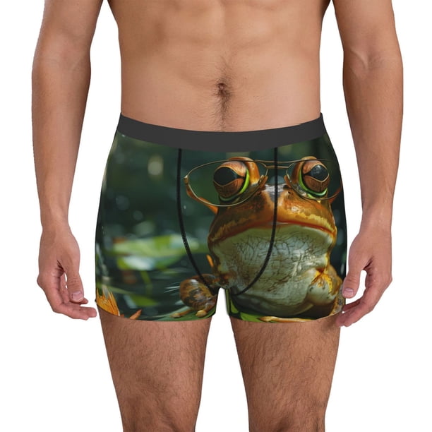 Balery Intellectual Frog Pond Calzoncillos bóxer para hombre, ropa interior de algodón suave y transpirable con cinturilla de nailon-Small