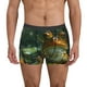 thumbnail image 1 of Balery Intellectual Frog Pond Calzoncillos bóxer para hombre, ropa interior de algodón suave y transpirable con cinturilla de nailon-Small, 1 of 5