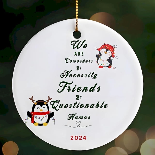 Home Decoration Gifts For Coworkers Emotional Support Coworker Coworker Gifts For Women Co Worker Gifts Christmas Funny Gifts For Coworkers Ceramic Ornament