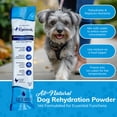 thumbnail image 5 of Replenish Electrolyte Substitute Formula Hydration Water Additive Supplement for Dogs Recovery, 5 of 11