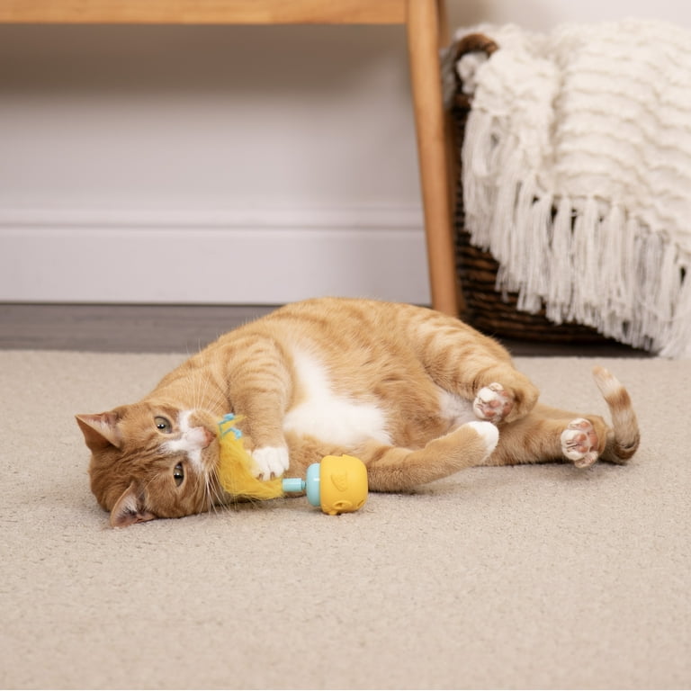 SmartyKat Canary Frenzy Motion Cat Toy –Electronic Interactive Pet