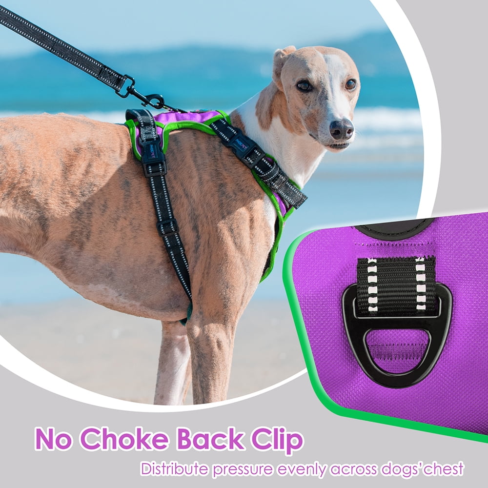 PHOEPET 2019 Upgraded No Pull Dog Harness, Reflective Adjustable Vest, with a Training Handle + 2 Metal Leash Hooks+ 3 Snap Buckles +4 Slide Buckles
