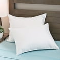 thumbnail image 2 of Cozy Clouds MicronOne King Pillow Protector - Set of 2, 2 of 5
