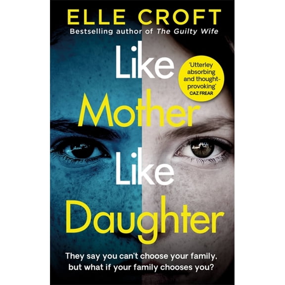 Like Mother, Like Daughter (Paperback)