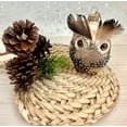 thumbnail image 2 of Christmas Tree Ornaments - Figurine Glass from Christmas By Krebs - Handcrafted Hanging Holiday Decor for Trees (4" Owl with Feathers), 2 of 7