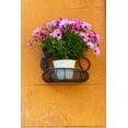 thumbnail image 2 of Wilson, Emily 13x18 Gold Ornate Wood Framed with Double Matting Museum Art Print Titled - Trapani Province-Erice A pot of African Daisy flowers on wall in the ancient hill town of Erice, 2 of 4