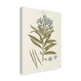 thumbnail image 2 of Trademark Fine Art 'Bashful Blue Florals III' Canvas Art by John Miller, 2 of 4