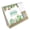 K01 Cactus, variant on 2026 Twin-Coil Desk Calendar 12 Months Jan-Dec, Tabletop Planner with Note Pad & Sticker for Daily Scheduling