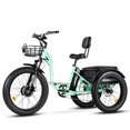 thumbnail image 4 of Addmotor Electric Trike, 750W Electric Tricycle for Adults M-340 Plus 3 Wheel Electric Bicycle 85 MI Long Range, 450 lbs,48V 20Ah Removable Battery, Big Baskets, 3 Wheel Step-Thru Electric Bike,Cyan, 4 of 10