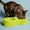 Green #2, variant on Macaroon Pet Double Bowl | Small Oval Food and Water Dish | Non-Slip Plastic Dog Bowl | Blue Color | 27X6X6Cm Feeding Utensil for Dogs & Cats
