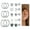 Silver-C, variant on 5 Pairs Surgical Steel Flat Back Earrings for Women Men Cartilage Stainless Steel Earrings Stud