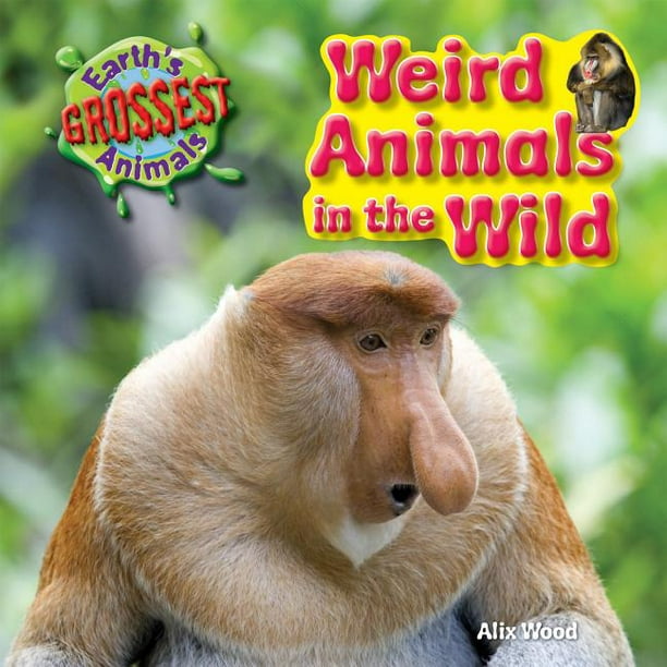 Earth's Grossest Animals: Weird Animals in the Wild (Hardcover) -  