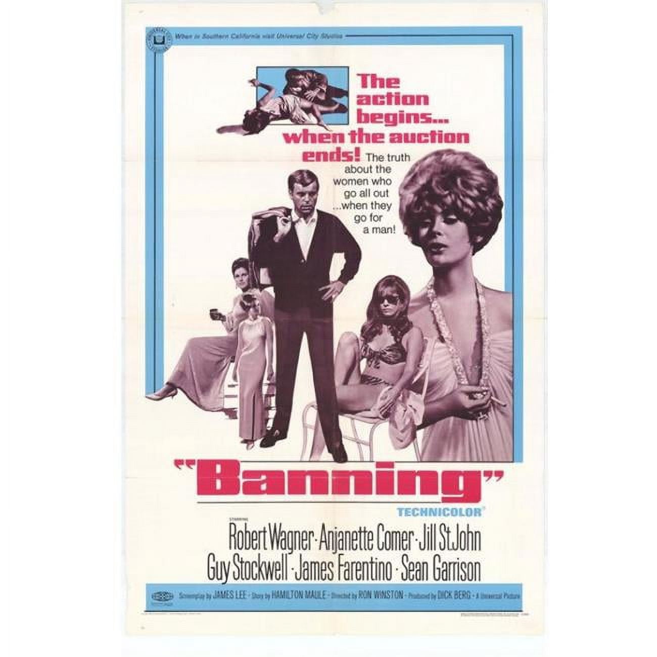 Beastie Boys: Video Anthology Movie Poster Print (27 x 40