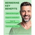 thumbnail image 4 of 4Well Berberine Supplement - Triple Strength GLP-1 Activator with Apple Cider Vinegar & Green Tea Extract - Body Composition Support, Digestive Health, Support Heart Health, 4 of 10