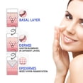 thumbnail image 3 of Crema antimanchas HUOGUO Revitalizante y resistente a la sequedad, 30 g, 3 of 3