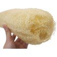 thumbnail image 3 of Esponjas de lufa orgánicas naturales Esponjas exfoliantes grandes para baño de ducha Lufa Luffa Loofa Esponjas para depuradores corporales para spa Baño de belleza y piel radiante, paquete de 4, 3 of 5