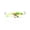 GLO CHT WNDRBRD, variant on Clam Tikka Mino, 1/16 Oz Size 16, Chart/Limo Holo 15852