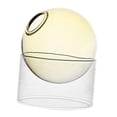 thumbnail image 2 of Abbracc Transparent Glass Hydroponic Vase Decor Flowerpot Terrarium Desk Vase Flower Pot Yellow Short, 2 of 9