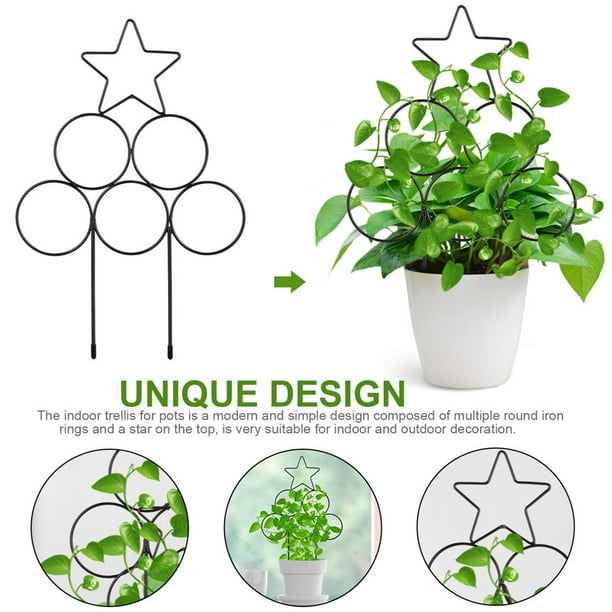 Cadre D'escalade Pour Grimpantes De 80 Cm, Treillis Pour Grimpantes