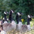 thumbnail image 5 of CHEERFUN Chicken Wire Fence with PVC Coating, 1.2mm Durable Hexagonal Mesh for Garden & Poultry, 5 of 8