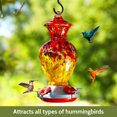 thumbnail image 3 of BirdKiss Large Hand Blown Outdoor Hummingbird Feeders, Weatherproof Glass, Flowers, Hook, Ant Moat, 20 oz Capacity, 3 of 8
