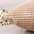 thumbnail image 5 of 18x18 Throw Pillow Covers Decorative Set of 2 Soft Velvet Corduroy Striped Square Cushion Cover for Bench Couch Decor, 18 x 18 inch, Taupe, 5 of 14