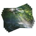 thumbnail image 1 of Ambesonne Nature Place Mats Set of 4, Jungle Sunlight Trees, Standard Size, Green White, 1 of 6
