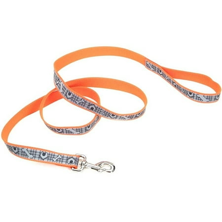 Lazer Brite Dog Leash