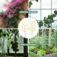 thumbnail image 5 of ELAYARD 2Pcs Tomatoes Cages Iron Flower Rack Golden for Garden Use with Vines, 5 of 5