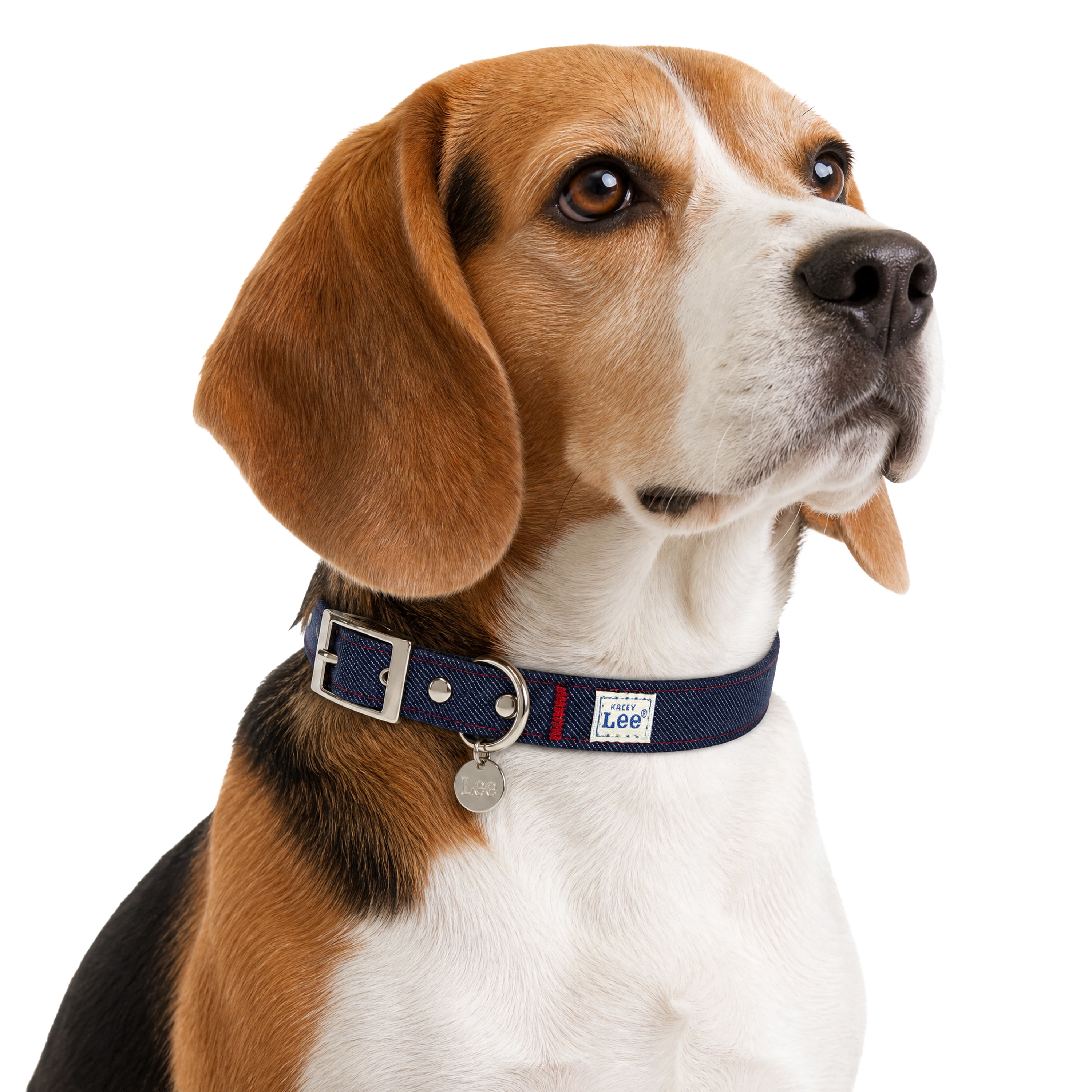 Kacey Lee® Denim Fashion Dog Collar, Blue, Medium
