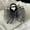 Gray, variant on Bow bubble hair clip for women with small hair on the back of the head, high-end small half-tied hair clip