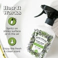 thumbnail image 2 of Ambientador en aerosol Poo-Pourri Home-Pourri Bamboo Rain 325 ml, 2 of 8