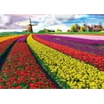 thumbnail image 3 of Tulip Field - Netherlands 1000-Piece Puzzle, 3 of 3