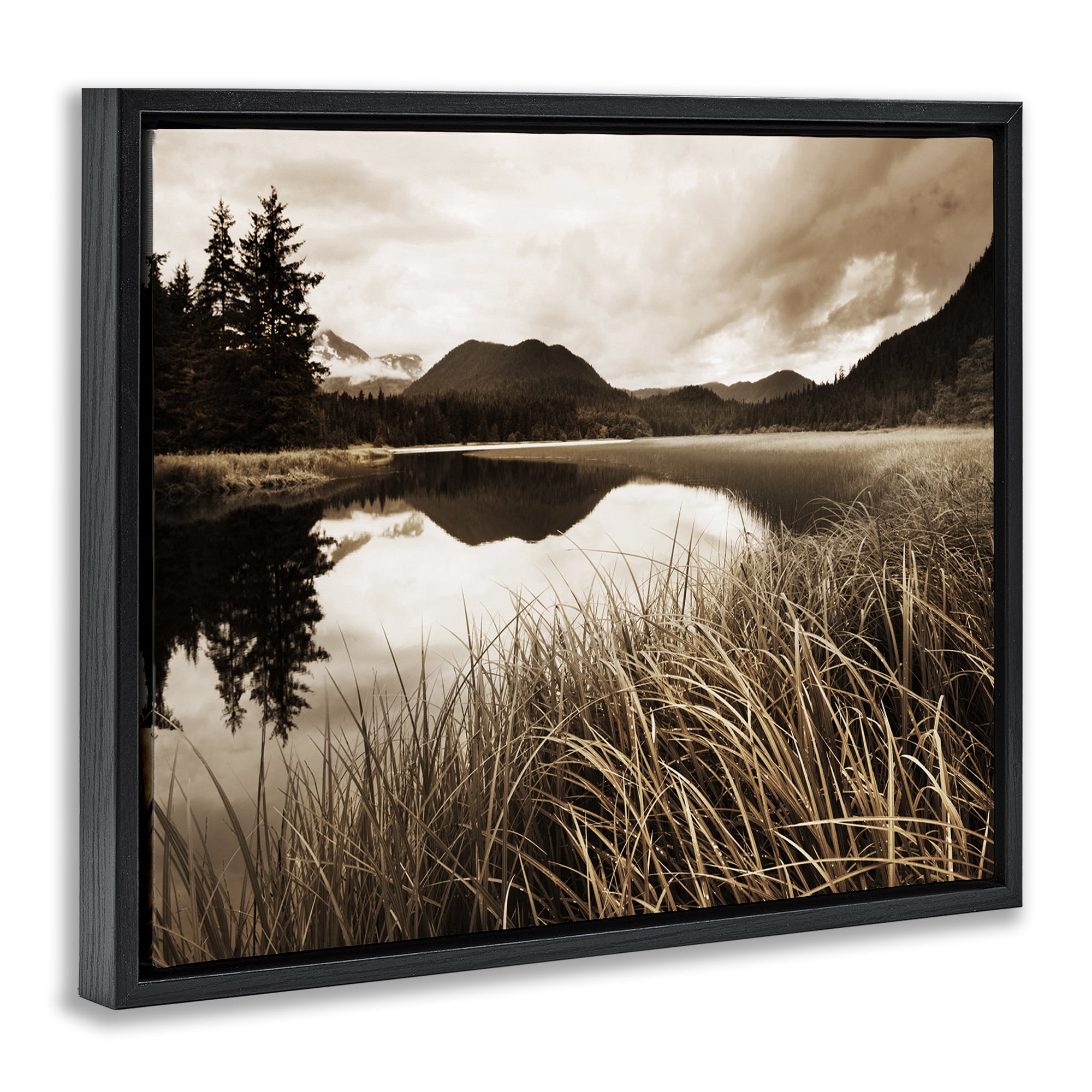Stupell Industries Sepia Lake Reflection Landscape Photography Black Floater Framed Art Print Wall Art, 31 x 25