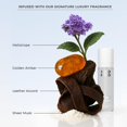 thumbnail image 3 of XMONDO Hair Wavetech Wave Enhancing Oil | Vegan Formula with Hemisqualane & Argan Oil for Enhanced Nourishment and Stronger Looking Hair Waveflex Technology Nurtures Wave Patterns 1.7 Fl Oz, 3 of 8