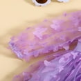 thumbnail image 5 of FNNMNNR Kids Baby Girl Princess Dress Elegant Butterfly Long Sleeves Party Dress for Toddler, 5 of 7