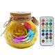 thumbnail image 1 of Botella de deseos Control remoto Flor rosa Luz de noche LED Bombilla romántica Lámpara de atenuación RGB Regalo de cumpleaños del día de San Valentín Advancent JJ17958-04B, 1 of 6