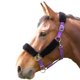 thumbnail image 1 of Shires - Cabezada de Caballos Forro Polar (Morado), 1 of 2